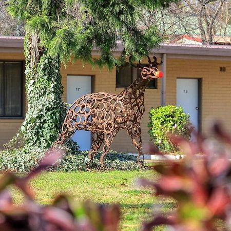 Hamilton Hume Motor Inn Yass Bagian luar foto